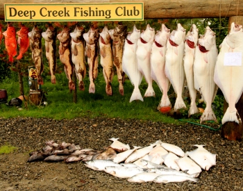 fishing in Alaska, Alaska fish, Alaskan seafood