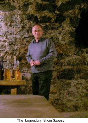 dry wines of Tokaji, Istvan Szepsy, Furmint Grapes, Tojaki