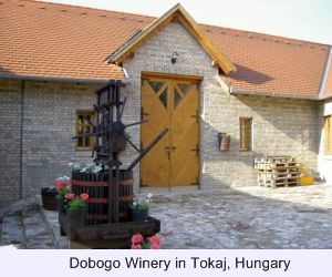 Tokaji, Dobogo Winery, Dobogo, Furmint, Tojaki