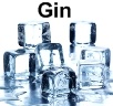 origins of gin