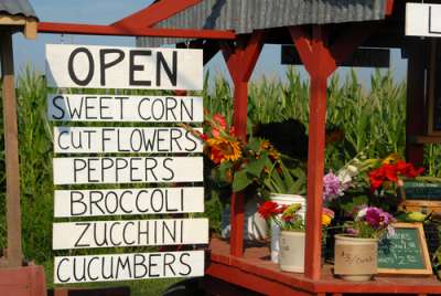 localvore, vegetable stand, local food