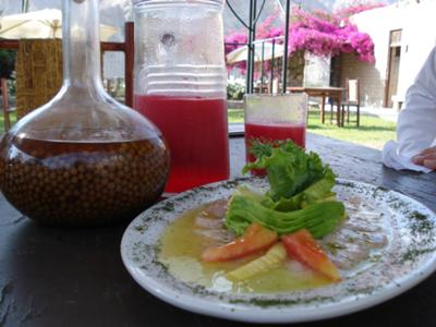 Tiradito de Trucha Marinada al Hinojo- smoked trout salad in dill vinaigrette 