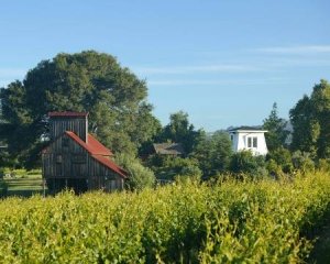 dan duckhorn, duckhorn wine
